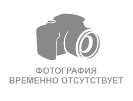Газовый котел Лемакс Премиум 16
